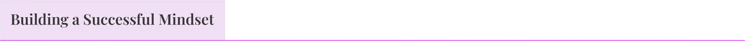 BSMlineweb Banner header with the title 'Building a Successful Mindset' on a light purple background, followed by a long black/empty space and a purple accent line.