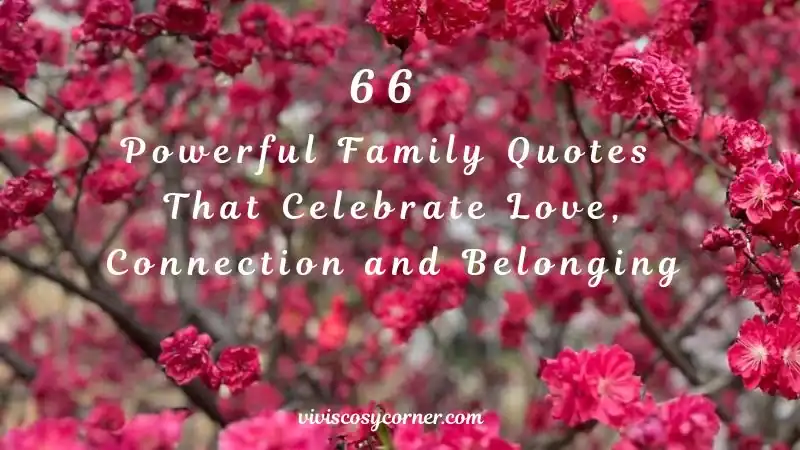 Blog hero image with pink blossoms and white script text reading: '66 Powerful Family Quotes That Celebrate Love, Connection and Belonging' (viviscoscorner.com)