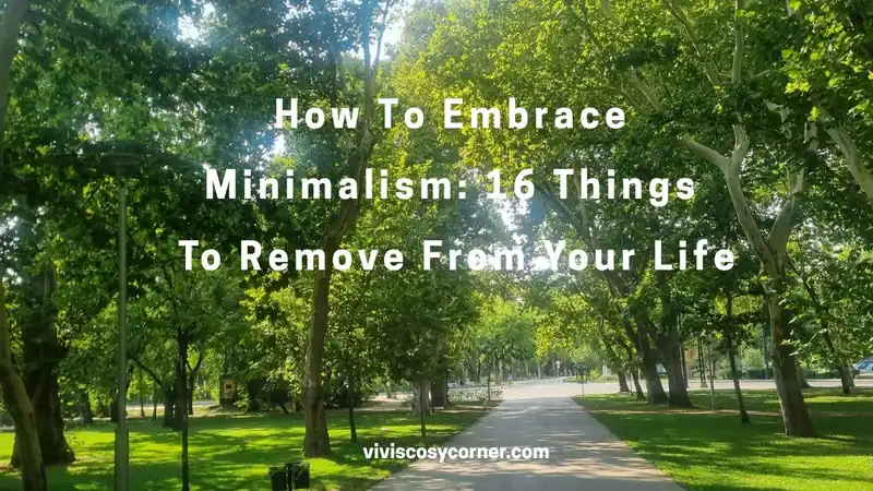 Title slide for a minimalism guide: 'How To Embrace Minimalism: 16 Things To Remove From Your Life' over a sunlit park path with trees and greenery, watermark at bottom.